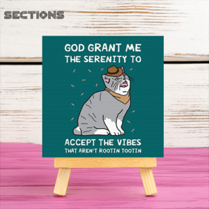 Angry Cat quote mini printed canvas with wooden stand